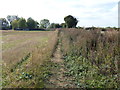 Field edge bridleway in WR11 7PB