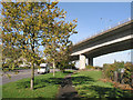 Grangetown Viaduct, Cardiff in Llandough Community