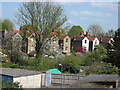 Suburban back gardens in spring in TW2 5QY
