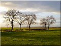Farmland, Bolton-on-Swale in DL10 6BG