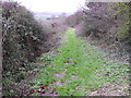 Bridleway near Long Bredy in DT2 9HR