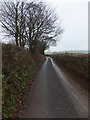 Minor road near Overleigh towards Burrow Corner in EX15 1PW