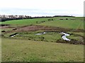 Meander on the River Wansbeck in NE61 4AT