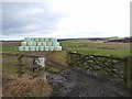 Silage bales near Gallows Hill Farm in Rothley