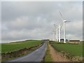Royd Moor Wind Farm, Whitley Road in S36 9NH