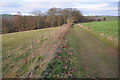Bridleway to Hoarwithy in Harewood