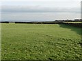 Walled field near Slack Mouth in HD8 8YD
