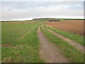 Farm track near Highfield Farm in DN22 9AH