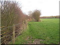 The bridleway to Clayworth Woodhouse in DN22 9AH
