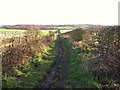 Footpath to Fountain Dale in Lindhurst
