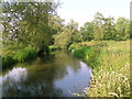 River Nadder at Wilton in SP2 0DX