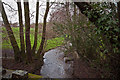 Looking upstream from a bridge on Coney Gut near Maidenford in EX32 7NQ
