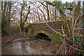 A bridge on Coney Gut near Maidenford as seen from upstream in EX32 7NQ