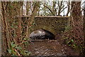 A bridge over Coney Gut near Maidenford as seen from downstream in EX32 7NQ