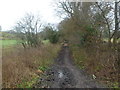 Corfe Mullen, bridleway in BH21 3RJ