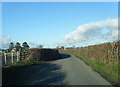 Lane looking towards Llanynys in LL15 1UH