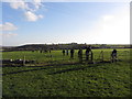Footpath and fields near The Herberts in CF71 7LR