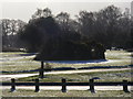 Frosty January Morning at Round Hill - Camp Site Closed in SO42 7QL