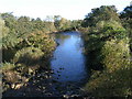 River Swale from Catterick Bridge in DL10 7JD