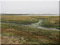 Saltmarsh, Langstone Harbour in Bedhampton Ward