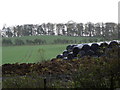 Black plastic bales in KY5 0AS