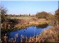 The New River Ray near Oddington in OX5 2QT