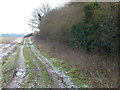 Frosty track in Congham, Norfolk in PE32 1DP