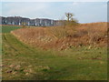 Bridleway over Grimston Heath, Norfolk in Massingham with Castle Acre Ward