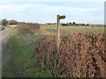 Bridleway sign, Drunken Drove, Great Massingham in PE32 2HF