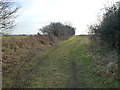 Public bridleway near Great Massingham in PE32 2HD