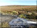 Frozen puddle on path across Middle Moor in SK22 2NR