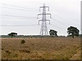 Pylon on Hale Purlieu, New Forest in SP6 2NB
