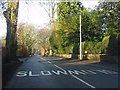 Ivy Lane - slow coming & going in SK11 7GE
