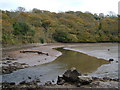 Head of creek, Broad Ooze in PL8 2DU