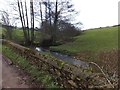 The Burn River at Burn Bridge in EX15 1PG