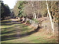 Bridleway on Farnham Heath in GU10 2BJ