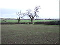 Farmland off Mains Lane in HG3 3QA