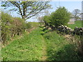 Bridleway near Chapel Farm in Harwood Dale