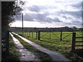 Footpath and farm track, Brackenthwaite Lane in HG3 1PN
