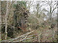 Remnant of a ruined building beside the Afon Nedd Fechan in SA11 5UH