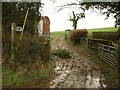 Bridleway, Southcott in EX20 4NB