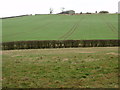 Arable land near Bushycommon Wood in MK17 9ES
