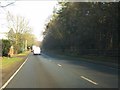 A49 in woodland near Nunsmere in CW8 2EP