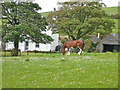 Whinhill House Campbeltown in PA28 6PF