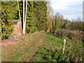 Woodland path near Sapey Common in WR6 6HA