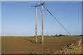 Electricity Poles off Soulby Lane in PE22 9BL