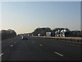 M62 motorway near Coney Green Wood in Bold