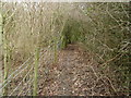Footpath near the railway line at Turvey in MK43 8BT