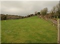 Sheep pasture on Woodhouse Hill in EX12 3BX