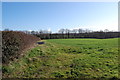 Fields off Chennell Park Road in TN30 6XA
